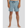 Sundays Layback Boardshorts