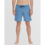 All Day Overdye Layback Boardshorts