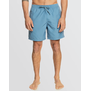 Everyday Vert Volley 17" Swim Shorts