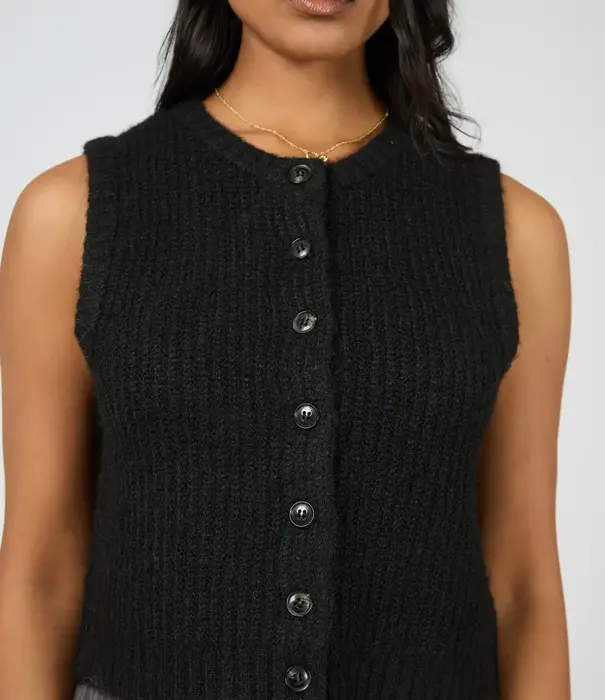 ALL ABOUT EVE Aya Knit Vest