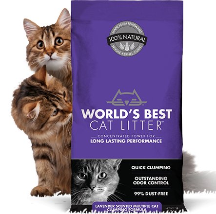 World's best cat litter multiple cat clumping discount formula 28 lbs