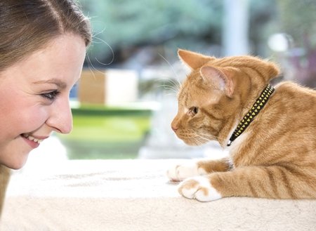 RC Pets RC Pets - Kitty Breakaway collar