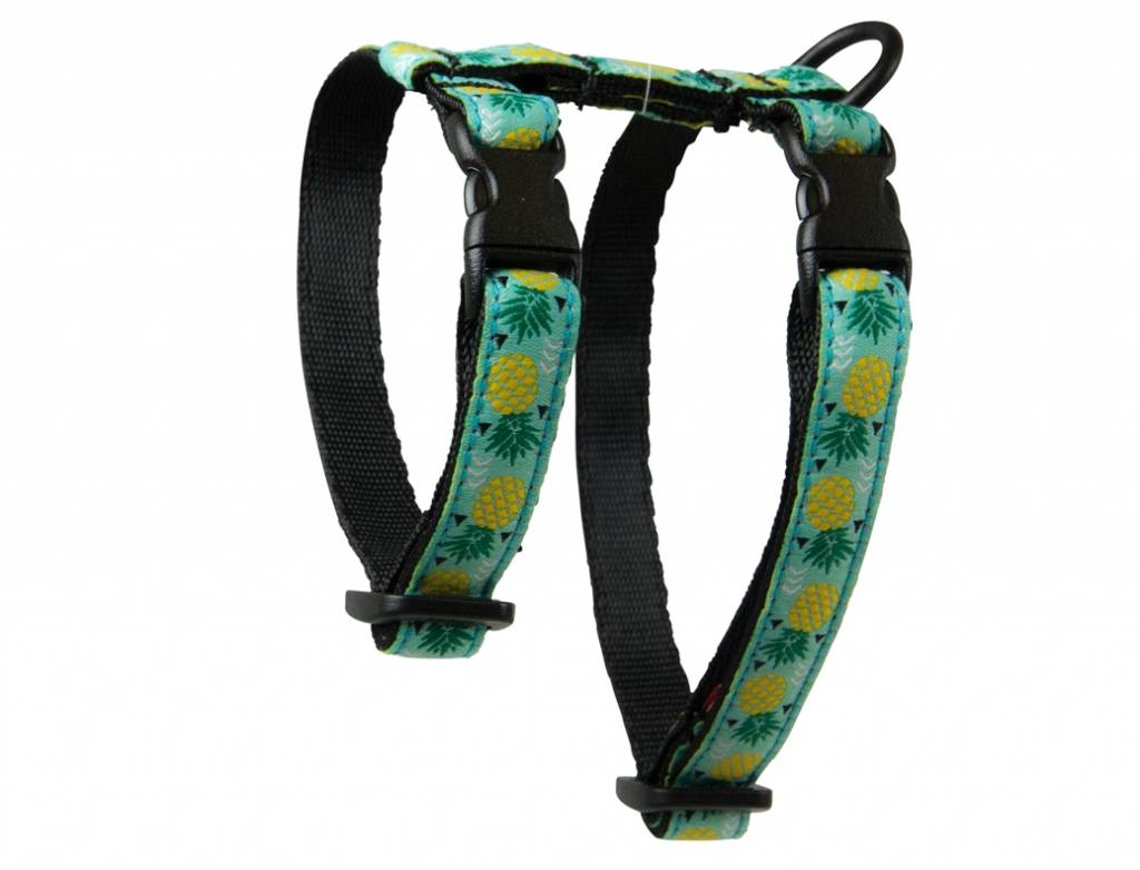 Rc Pet-kitty Harness