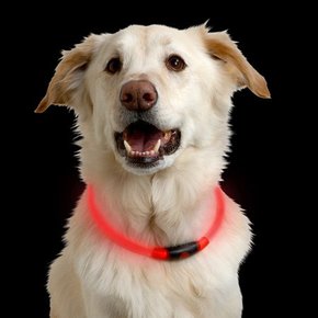 Nite Ize- Nitehowl Safety Necklace