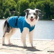 Chilly Dogs Jackets Chilly Dogs- Soaker Robe