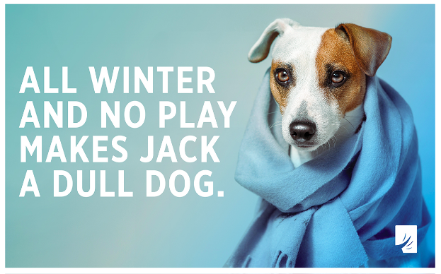 All Winter and No Play Makes Jack a Dull Dog