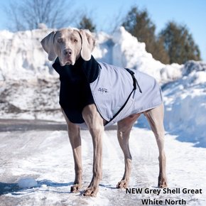 Chilly Dogs - GWN Standard GREY SHELL