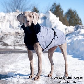 Chilly Dogs Jackets Chilly Dogs - GWN Standard GREY SHELL