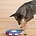 Nina Ottosson Nina Ottosson - Dog Twister Puzzle Toy Advanced