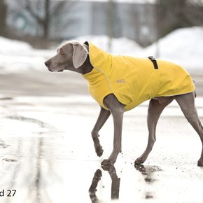 Chilly Dogs Jacket-Harbour Slicker DUCKLING YELLOW