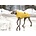 Chilly Dogs Jackets Chilly Dogs Jacket-Harbour Slicker DUCKLING YELLOW