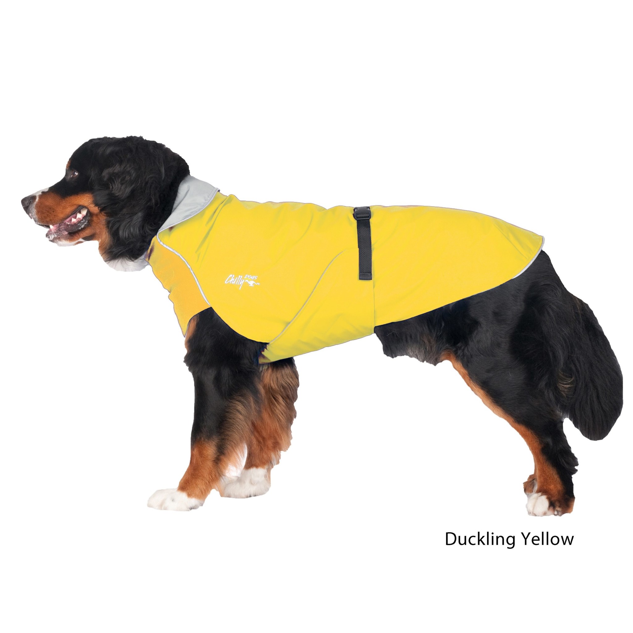 Chilly Dogs Jackets Chilly Dogs Jacket-Harbour Slicker DUCKLING YELLOW
