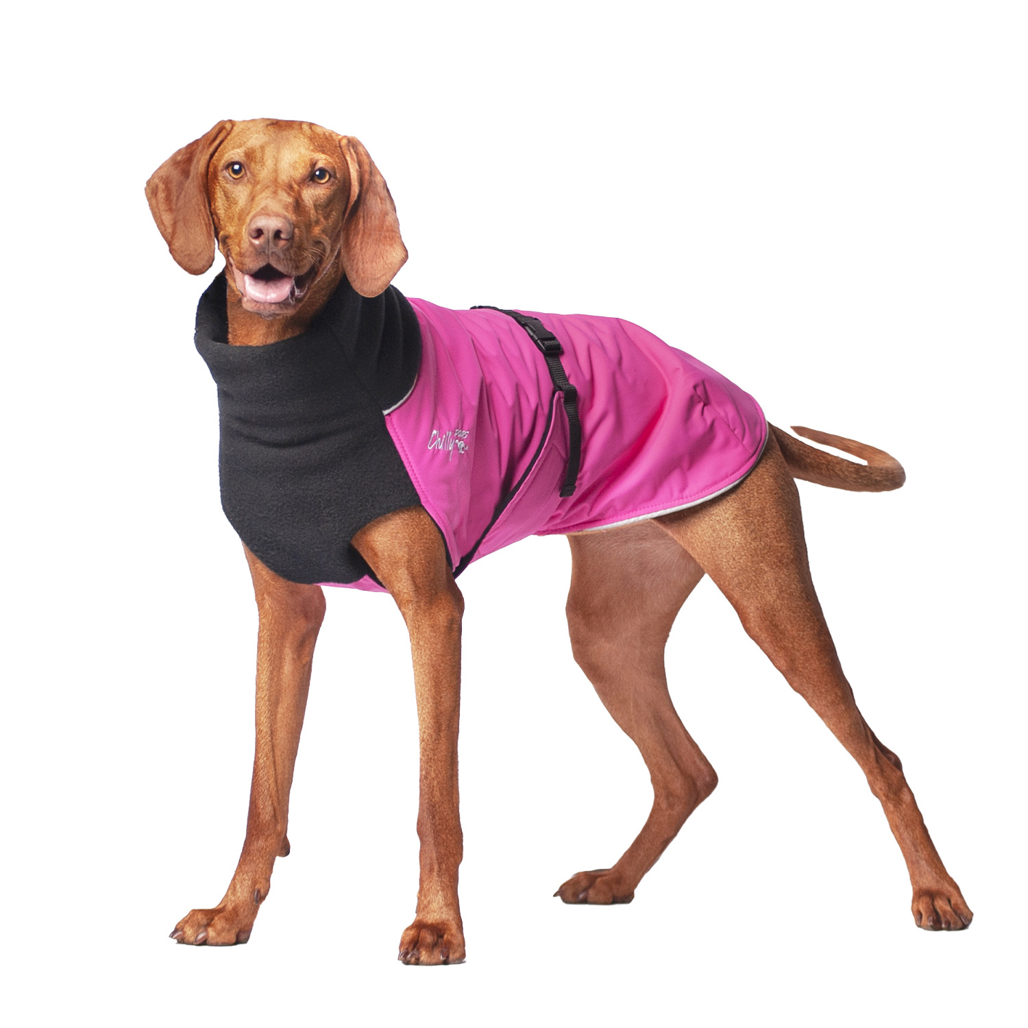 Chilly Dogs Jackets Chilly Dogs Jacket- GWN BUBBLE GUM SHELL