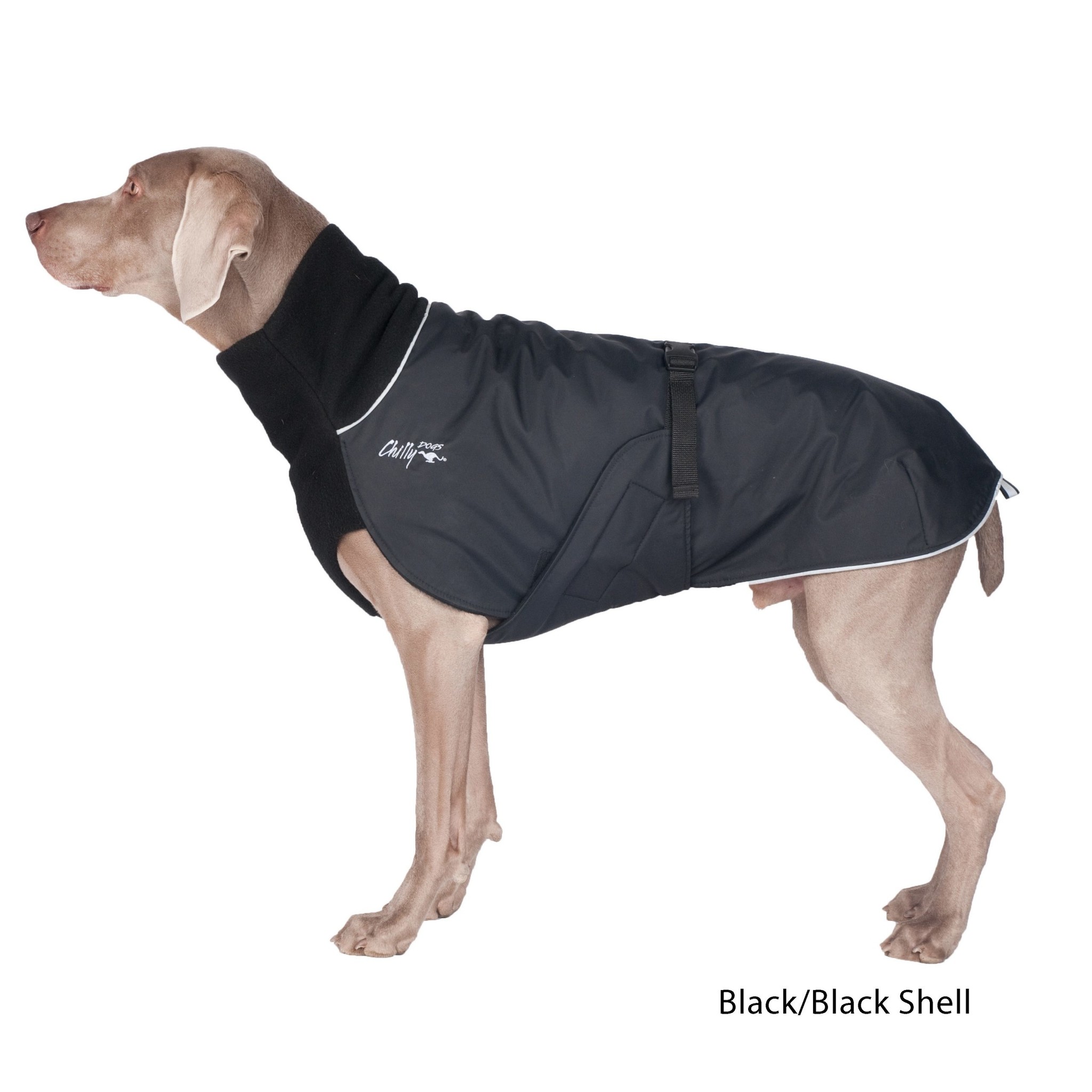 Chilly Dogs Jackets Chilly Dogs - GWN Standard BLACK