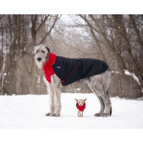 Chilly Dogs Jackets Chilly Dogs - GWN  Standard RED