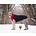 Chilly Dogs Jackets Chilly Dogs - GWN  Standard RED