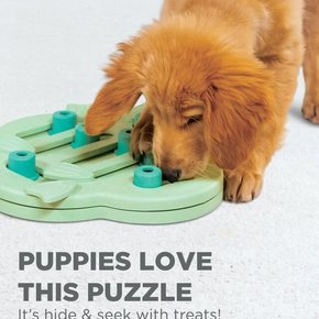 Nina Ottosson - Puppy Hide N Slide Puzzle Toy Intermediate