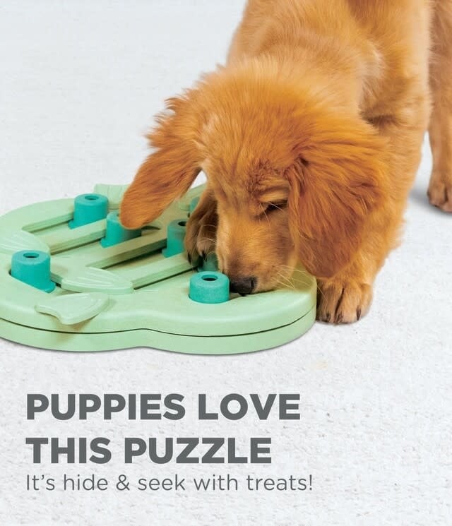 Puppy Hide N Slide Puzzle Toy