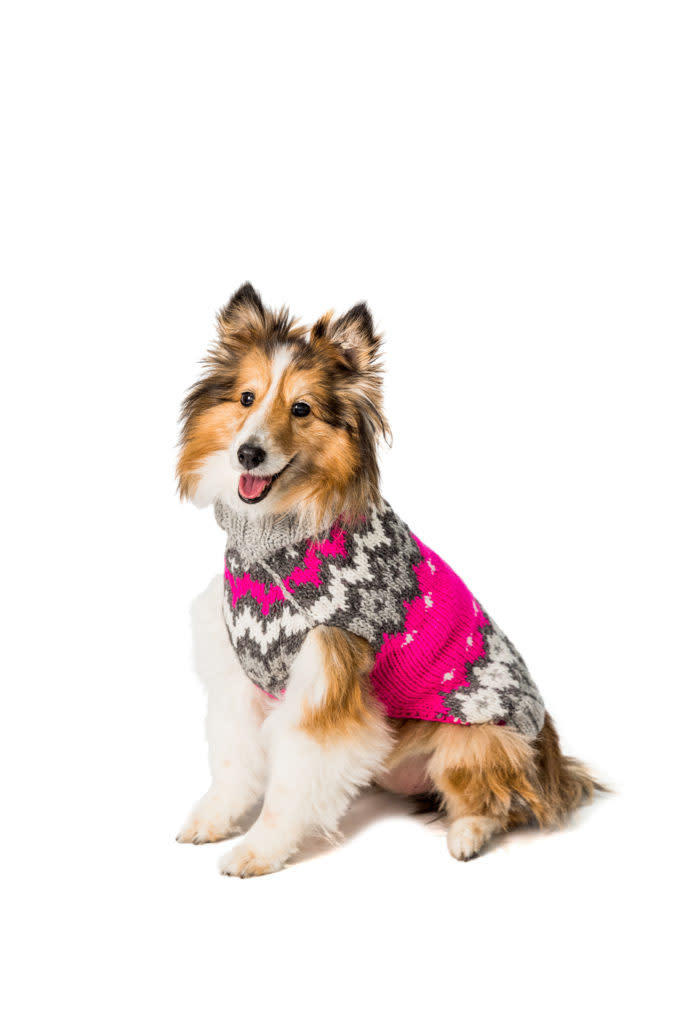 Chilly Dog Sweaters Chilly Dog Sweaters -Ski Sweater Hot Pink  - Take 30% Off