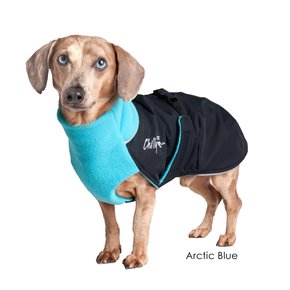 Chilly Dogs - GWN Standard ARCTIC BLUE