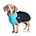 Chilly Dogs Jackets Chilly Dogs - GWN Standard ARCTIC BLUE