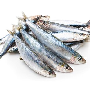 Iron Will Raw - Sardines 1lb bag
