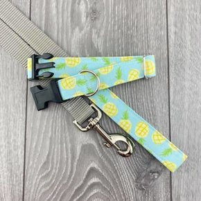 The Grey Dog - Clip Collar Pineapples