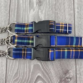 The Grey Dog - Martingale Collar Blue Plaid