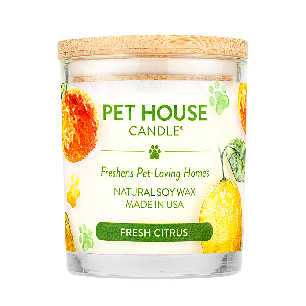 Pet House Candles Pet House Candle / SALE Now $15