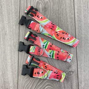 The Grey Dog - Clip Collar Watermelons