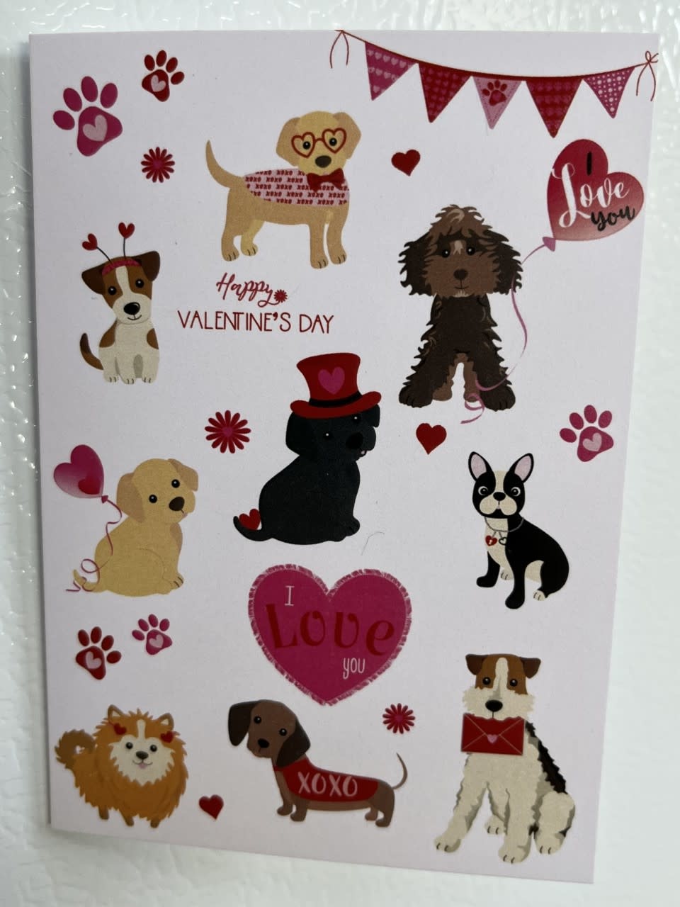 Paper + Petals Paper + Petals - Happy Valentine's Day - Dog