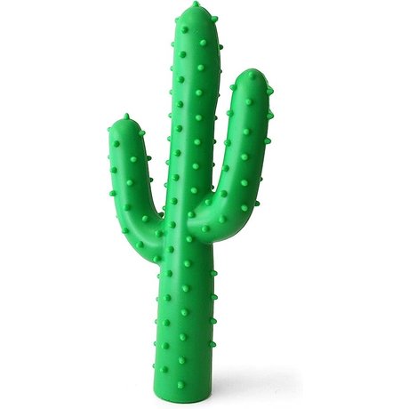 Waggo Waggo - Silly Succulent Cactus