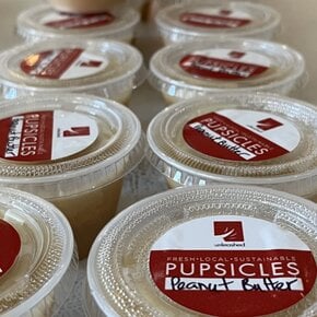 PupSicles