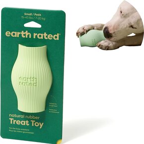 Earth Rated - Rubber Treat Toy - Green