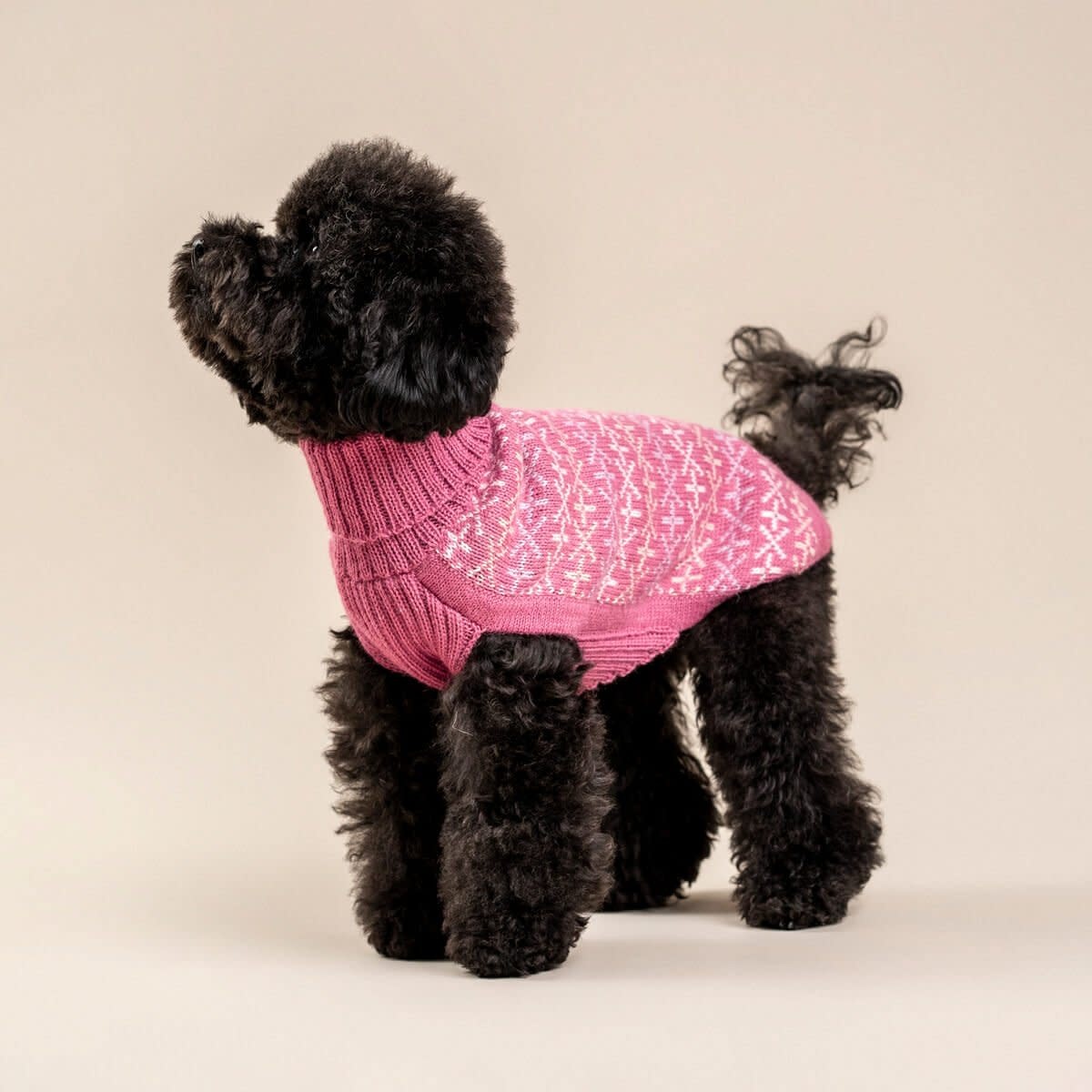 Alqo Wasi Alqo Wasi - Alpaca Sweater Signs Pink