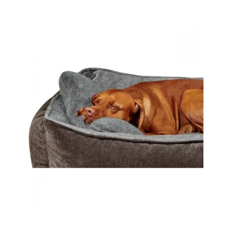 Bowsers Pet Products Bowsers B Lounge - Cashmere Fur