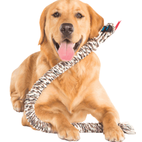 Mammoth -  Snake Biter Rope