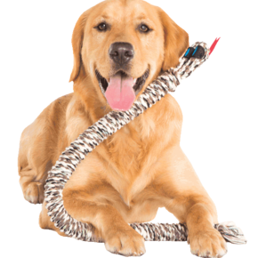 Mammouth -  Snake Biter Rope