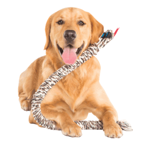 Mammouth Mammoth -  Snake Biter Rope