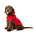 FuzzYard FuzzYard Apparel - Zoomies Hoodie "RED"