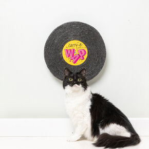FuzzYard - Catty-B - Record Cat Scratcher