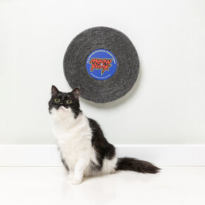 FuzzYard - Meow Punk - Record Cat Scratcher