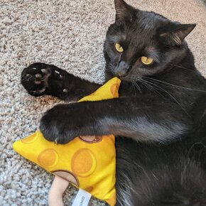 Meowijuana - Get Cheesy Refillable Catnip Toy