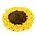 Injoya Injoya Snuffle Mat - Sunflower