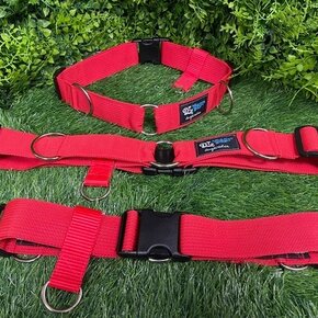 DT Gear - Freedom Belt Red 1.5"