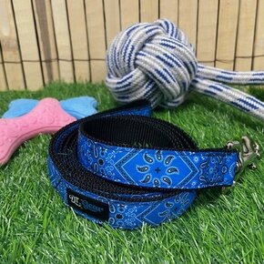 DT Gear - Leash Blue Bandana