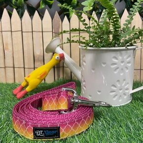 DT Gear - Leash Ombre Rose
