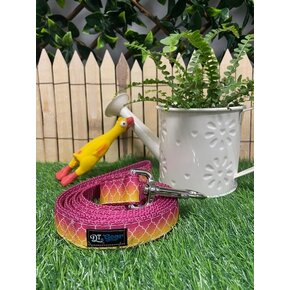 DT Gear DT Gear - Leash Ombre Rose (disc)