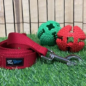 DT Gear - Leash Red (S.O.)