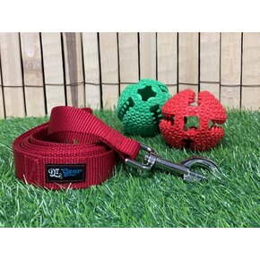 DT Gear DT Gear - Leash Red (S.O.)